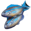 Fish icon