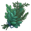 Herbs icon