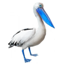 Birds icon