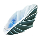 Seashells icon